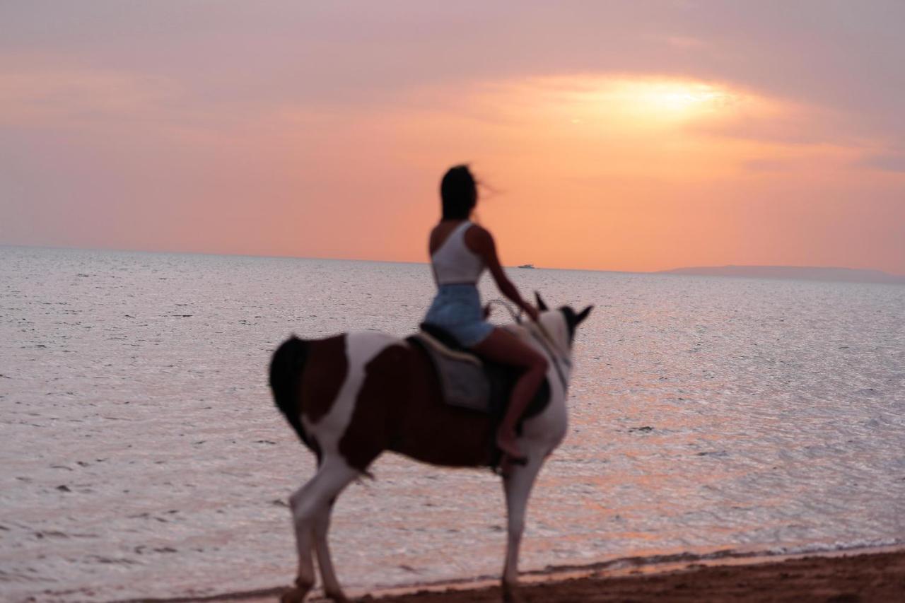 Dawar El Omda (Adults Only) Hotel El Gouna Luaran gambar